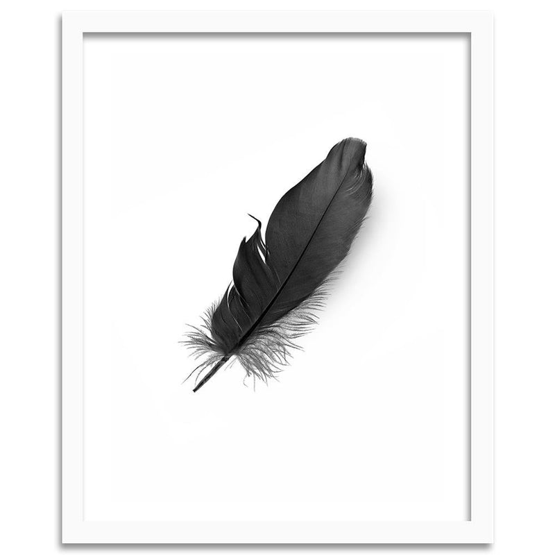 Glezna baltā rāmī - Black Feather 