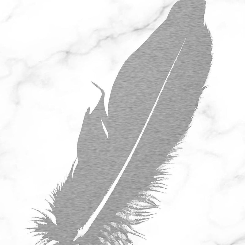 Glezna baltā rāmī - Gray Feather 