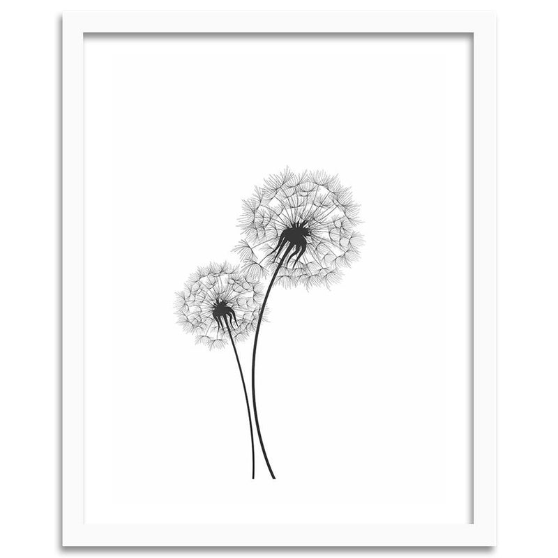 Glezna baltā rāmī - Drawn Two Dandelions 