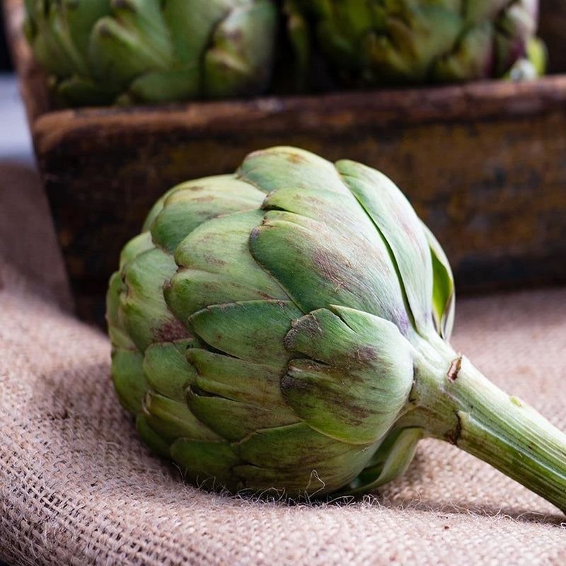 Glezna baltā rāmī - Fresh Artichokes 