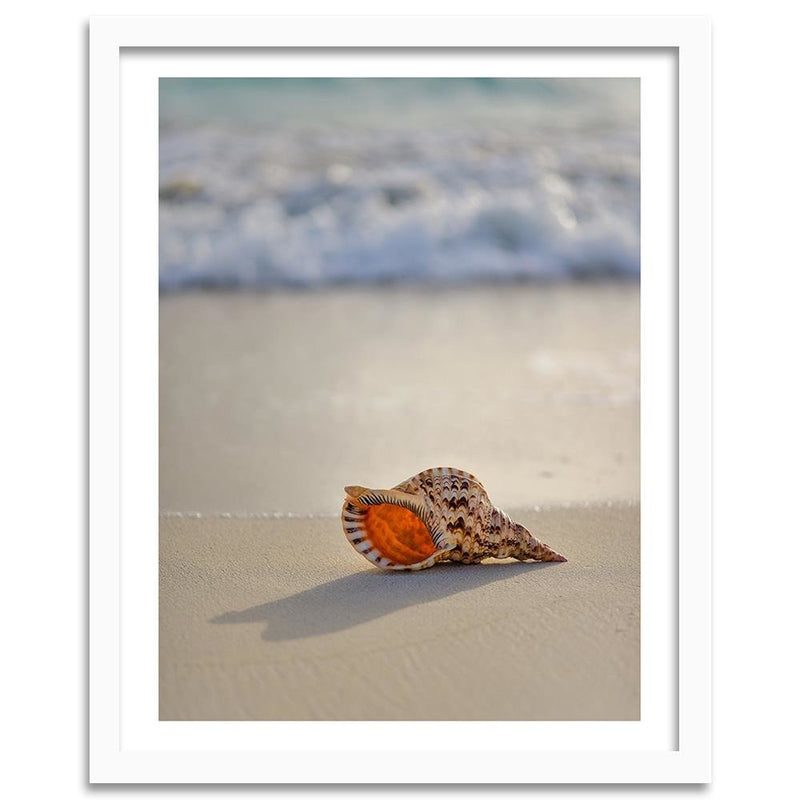 Glezna baltā rāmī - Shell On The Beach 