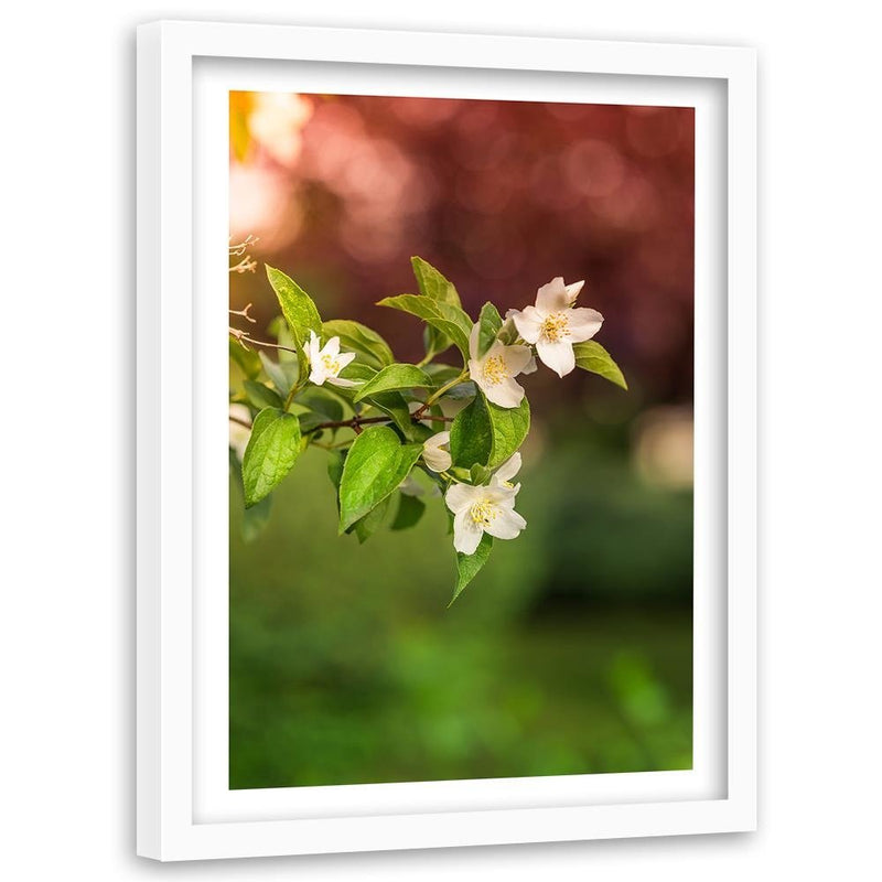 Glezna baltā rāmī - Jasmine Flowers 