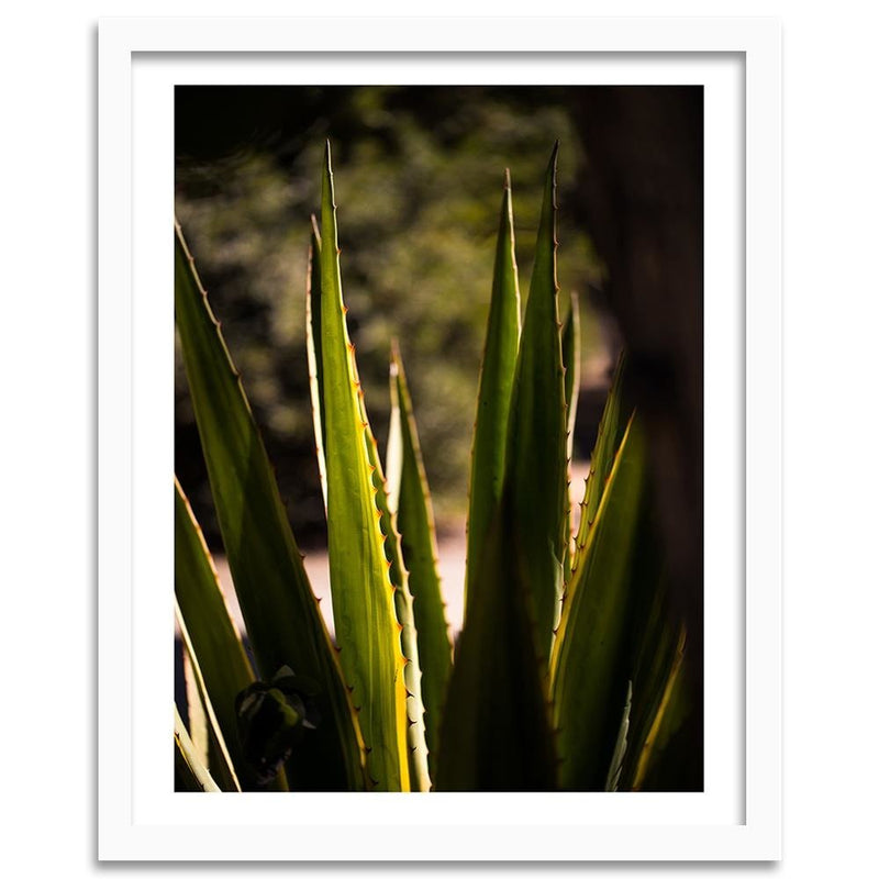 Glezna baltā rāmī - Prickly Leaves 