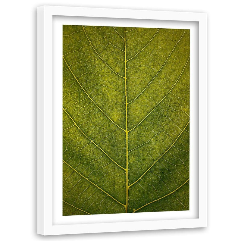 Glezna baltā rāmī - Leaf Close Up 