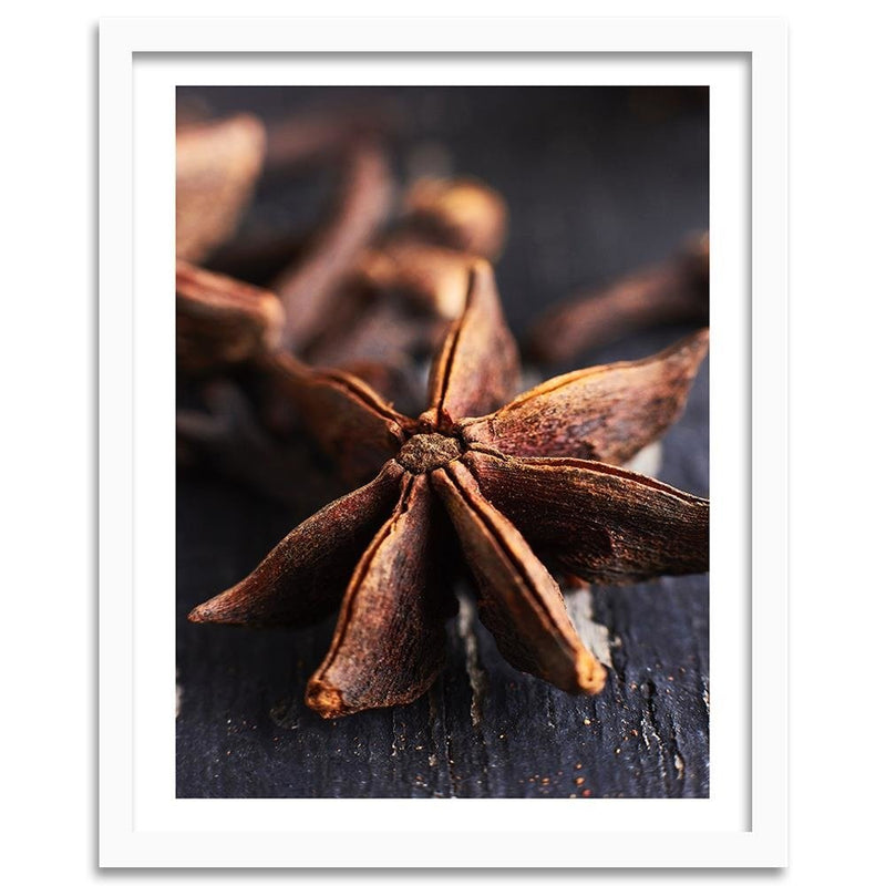 Glezna baltā rāmī - Star Anise 