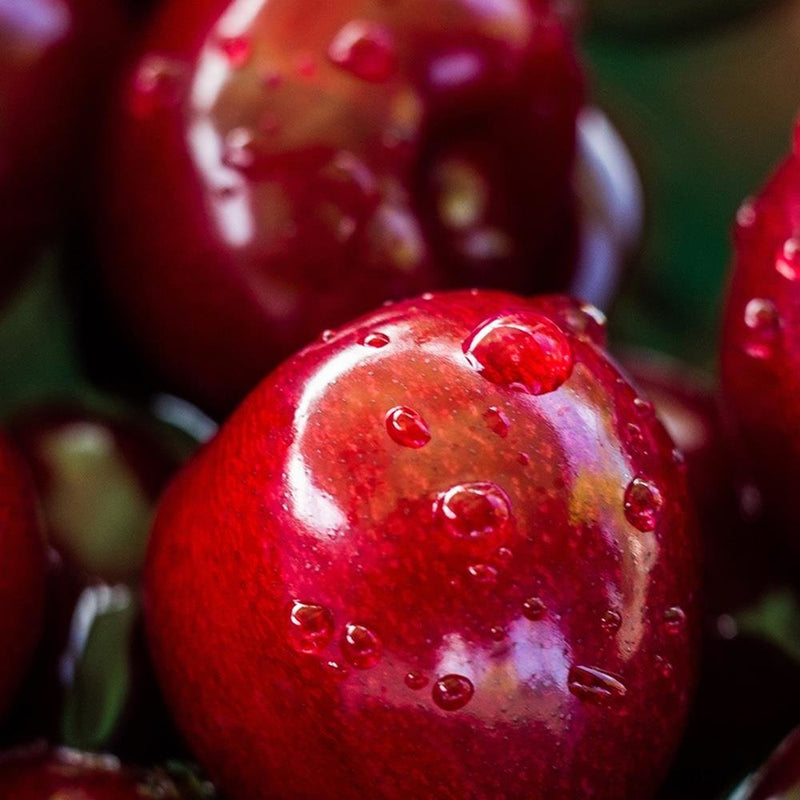 Glezna baltā rāmī - Juicy Cherries 