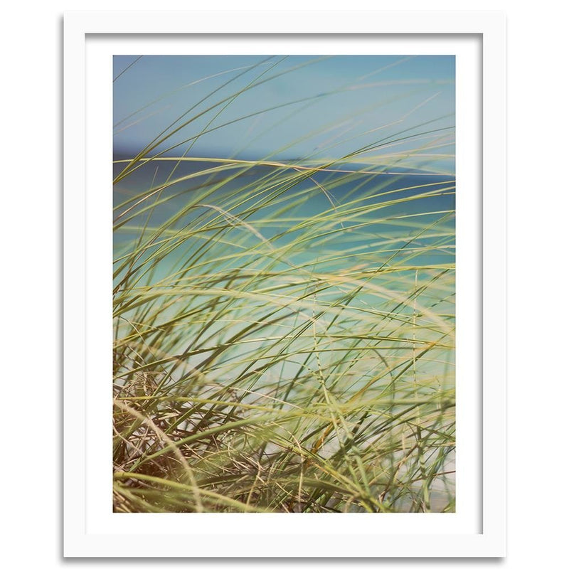 Glezna baltā rāmī - Grass On The Dunes 