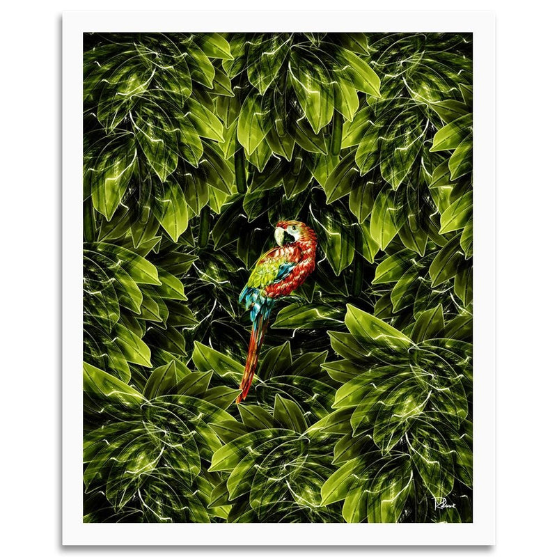 Glezna baltā rāmī - Macaw Tropical Green 