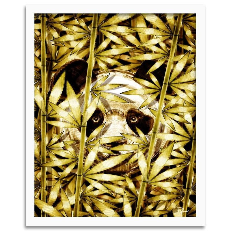 Glezna baltā rāmī - Panda Image Animal Print Gold 