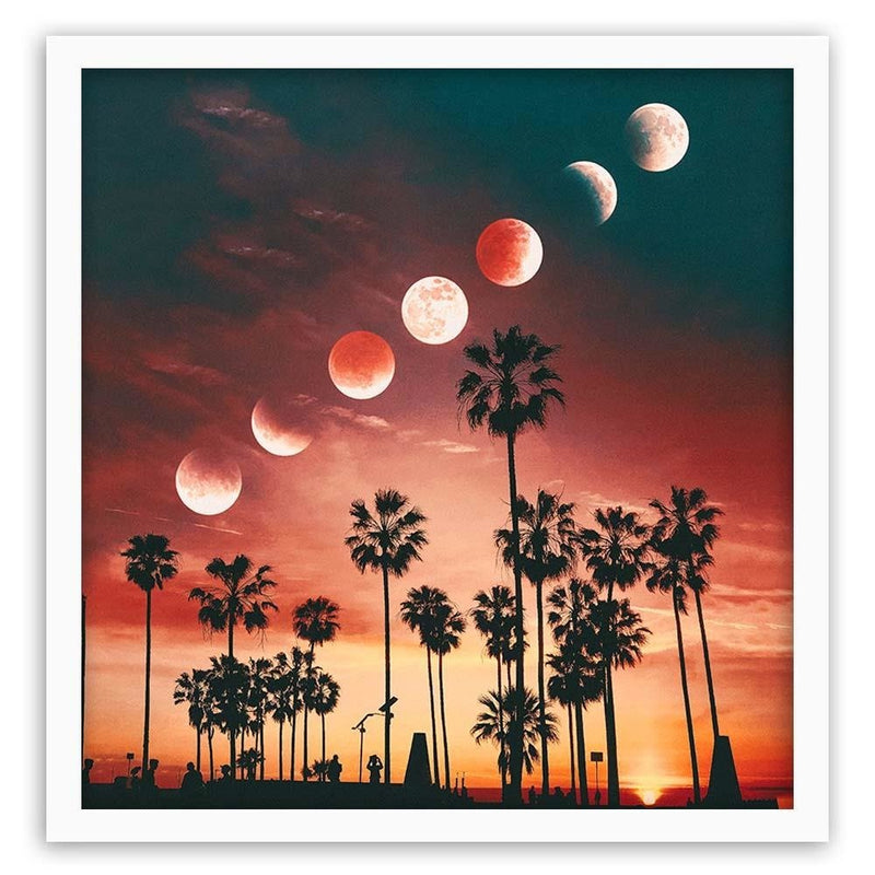 Glezna baltā rāmī - Phases Of The Moon Over Palm Trees 