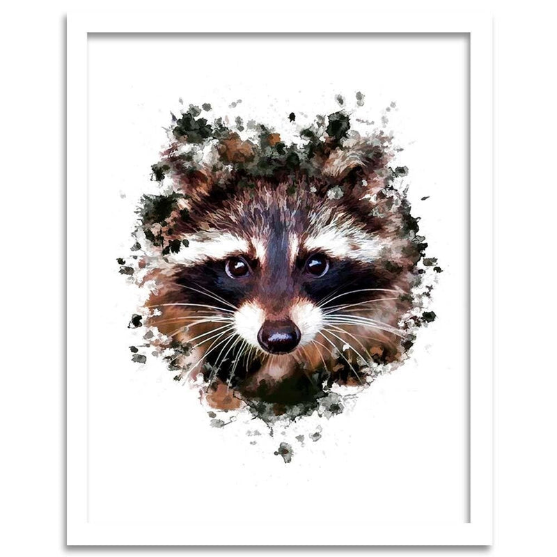 Glezna baltā rāmī - The Raccoon 