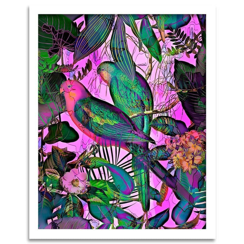 Glezna baltā rāmī - Paradise Parrots 