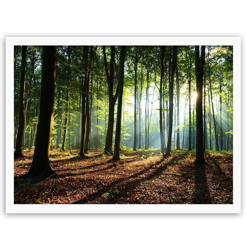 Glezna baltā rāmī - Green Forest 