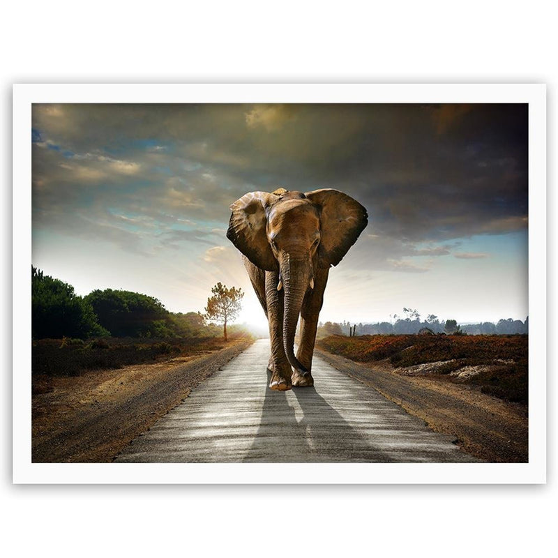 Glezna baltā rāmī - Elephant On The Road 