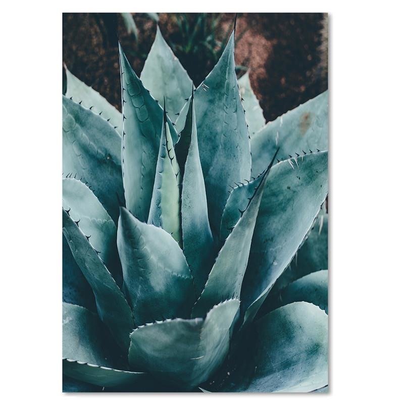 Dekoratīvais panelis - Agave 