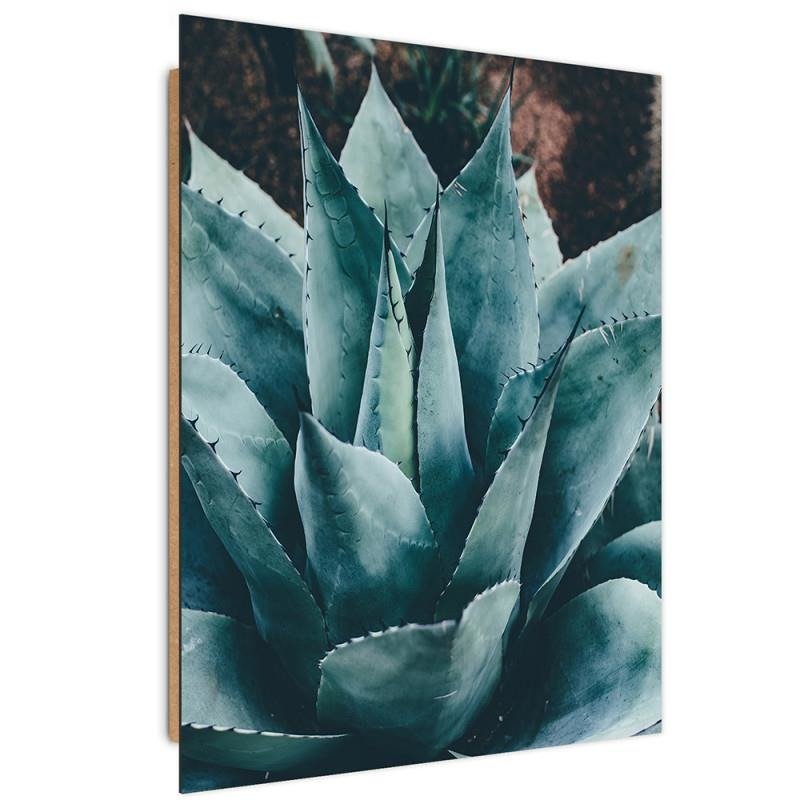 Dekoratīvais panelis - Agave 