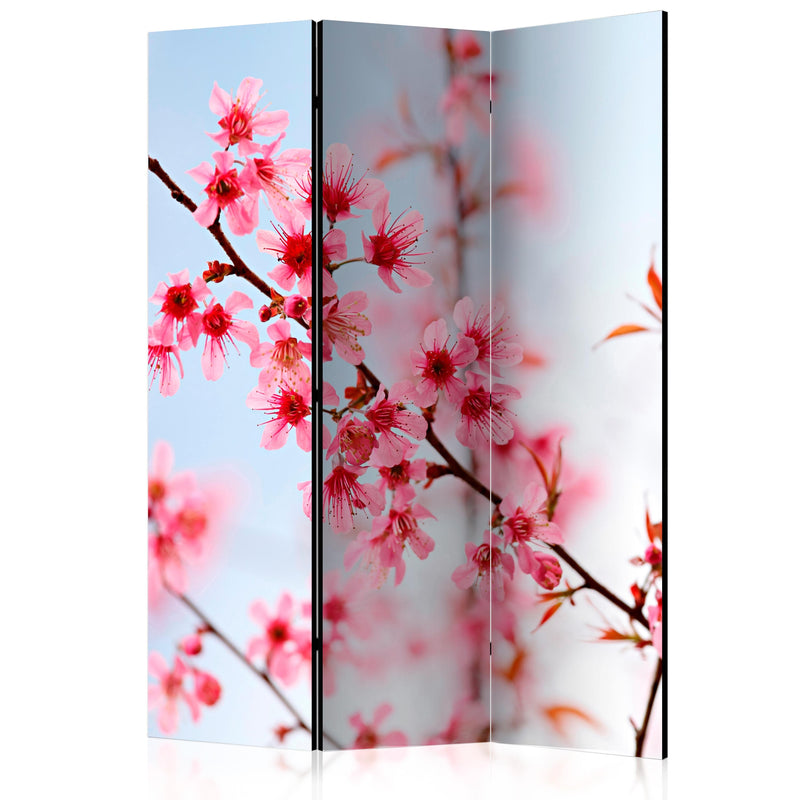 Aizslietnis 3-daļīgs - Japānas simbols - sakuras ziedi (135x172cm) Home Trends