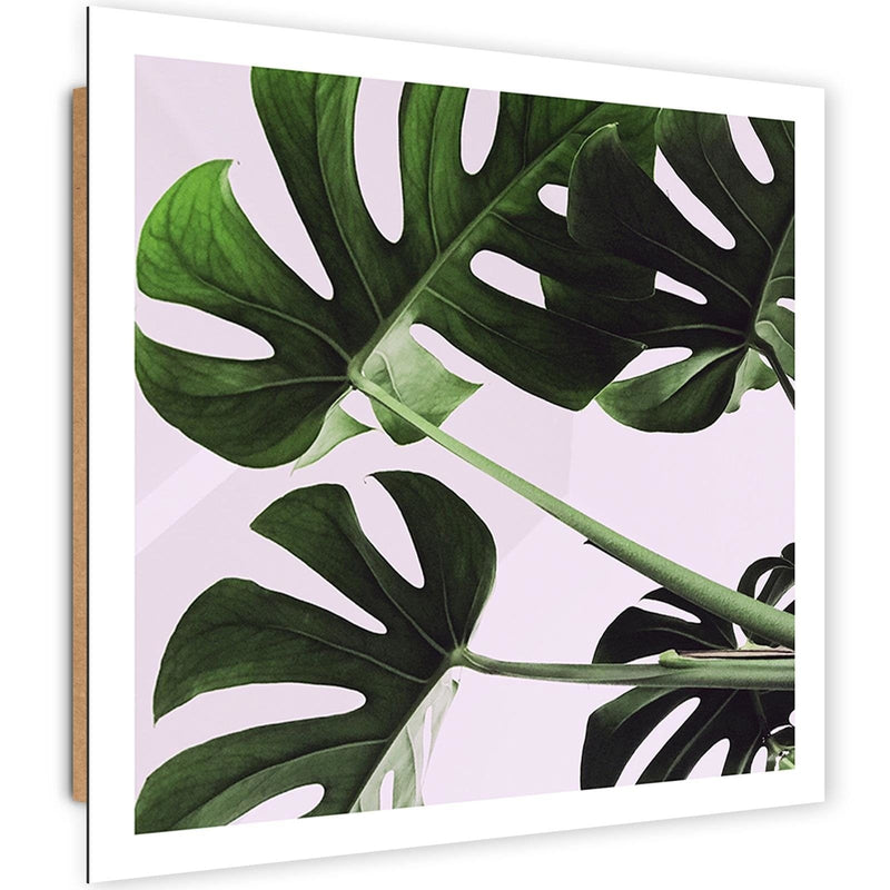 Dekoratīvais panelis - Exotic Leaves Monstera 1  Home Trends Deco