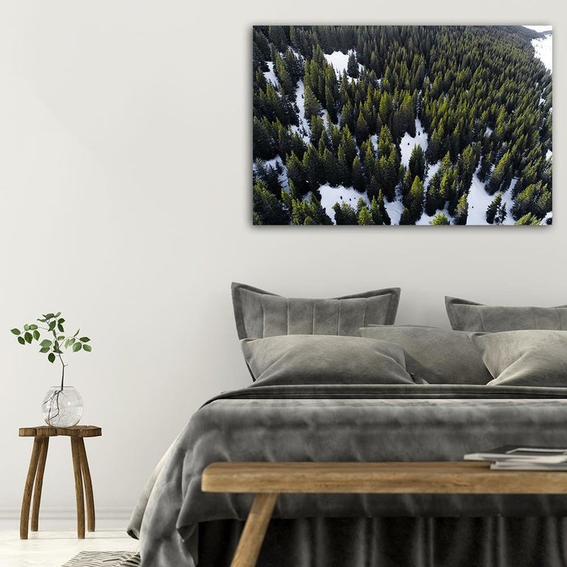 Dekoratīvais panelis - Forest In Snow  Home Trends Deco