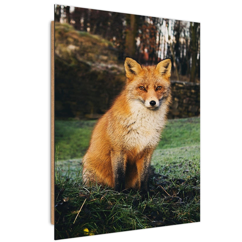 Dekoratīvais panelis - Fox In The Woods  Home Trends Deco