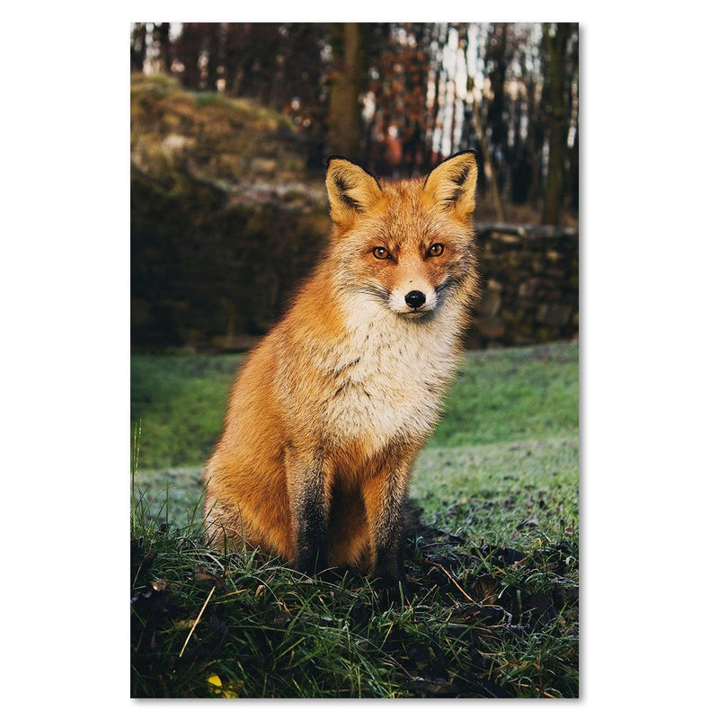 Dekoratīvais panelis - Fox In The Woods  Home Trends Deco