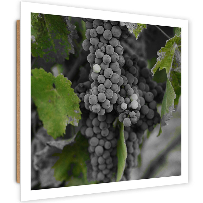 Dekoratīvais panelis - Grapes 2  Home Trends Deco