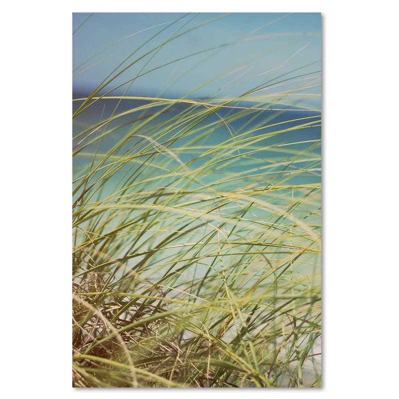 Dekoratīvais panelis - Grass On The Dunes  Home Trends Deco