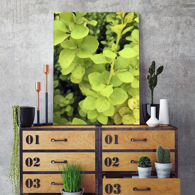 Dekoratīvais panelis - Green Plant  Home Trends Deco