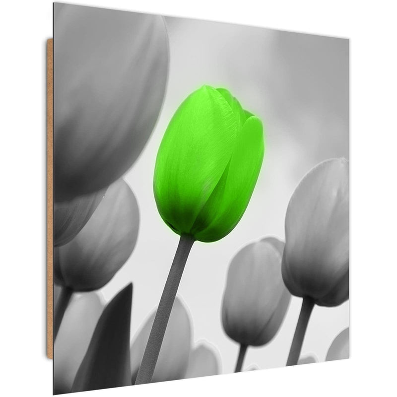 Dekoratīvais panelis - Green Poppy Flower  Home Trends Deco