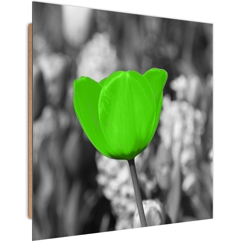 Dekoratīvais panelis - Green Poppy Meadow  Home Trends Deco