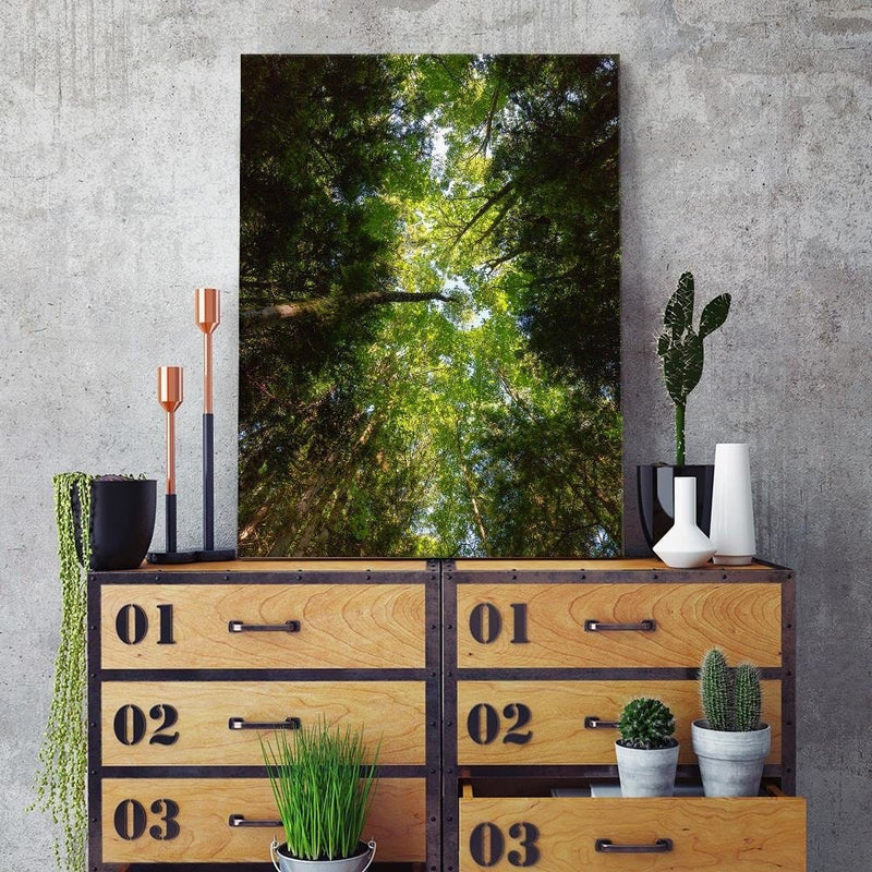 Dekoratīvais panelis - Green Treetops  Home Trends Deco