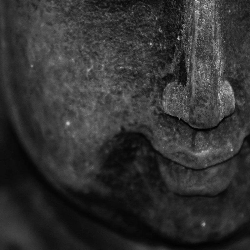 Dekoratīvais panelis - Head Of Buddha 3  Home Trends Deco