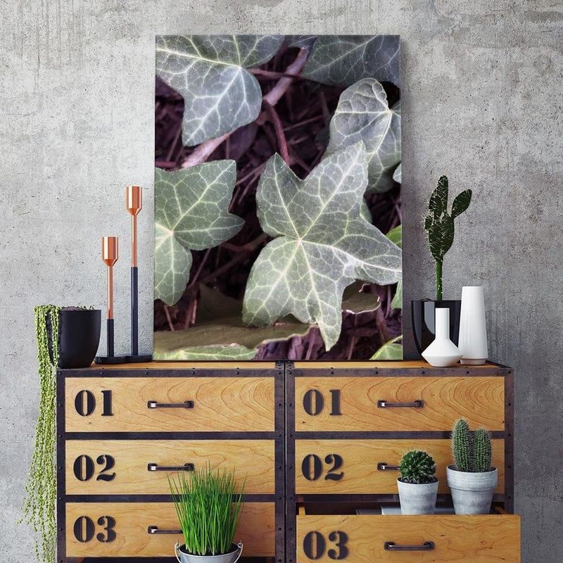 Dekoratīvais panelis - Ivy Leaves  Home Trends Deco