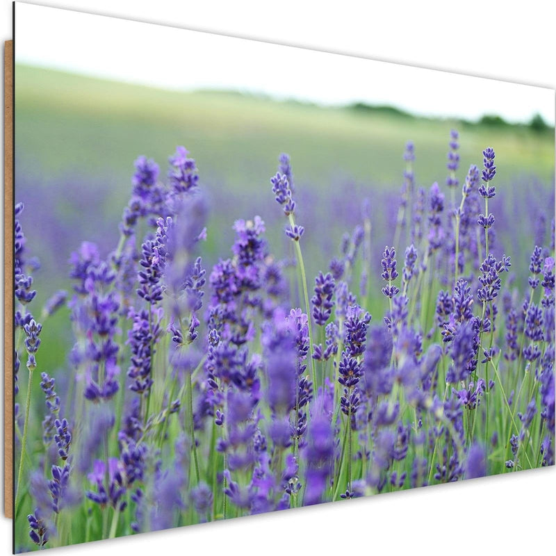 Dekoratīvais panelis - Lavender Fields  Home Trends Deco