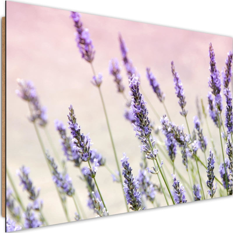 Dekoratīvais panelis - Lavender Flowers  Home Trends Deco