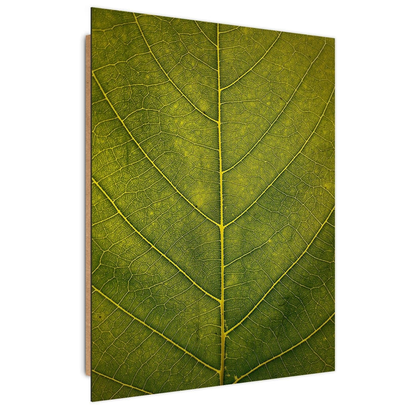 Dekoratīvais panelis - Leaf Close Up  Home Trends Deco