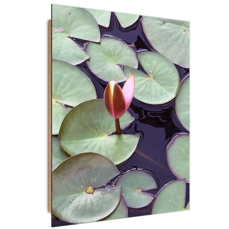 Dekoratīvais panelis - Leaves Of Water Lilies  Home Trends Deco