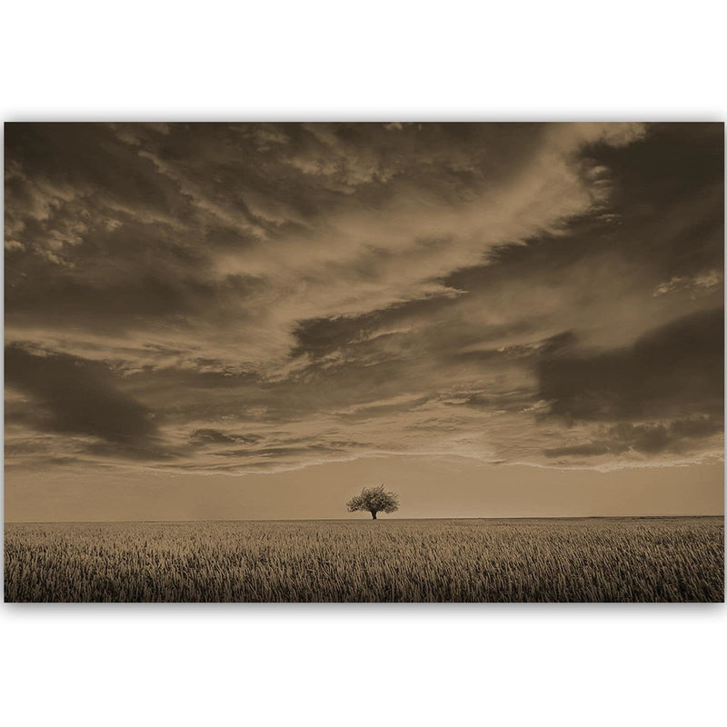 Dekoratīvais panelis - Lone Tree In Field 1  Home Trends Deco