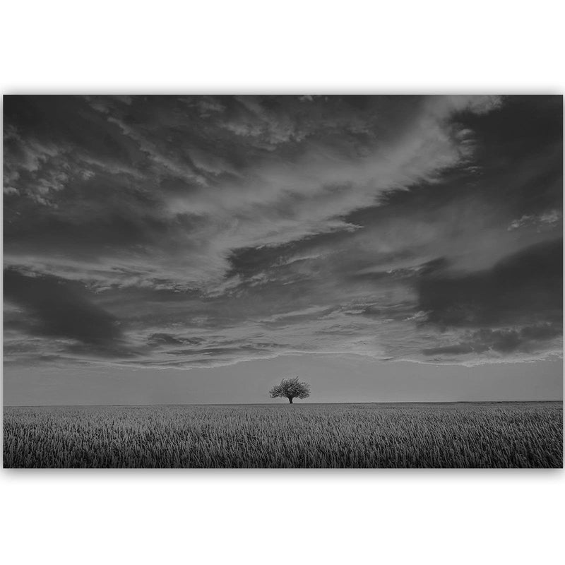 Dekoratīvais panelis - Lone Tree In Field 2  Home Trends Deco