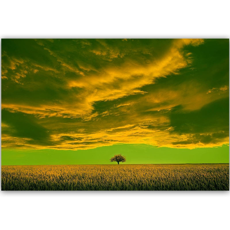 Dekoratīvais panelis - Lone Tree In Field 3  Home Trends Deco