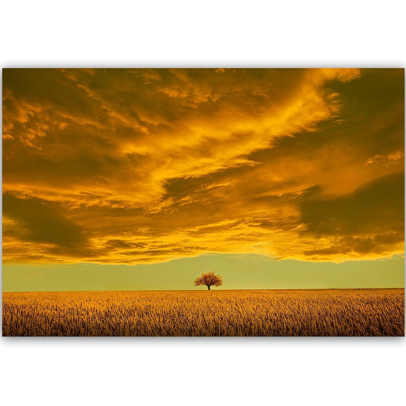 Dekoratīvais panelis - Lone Tree In Field 4  Home Trends Deco