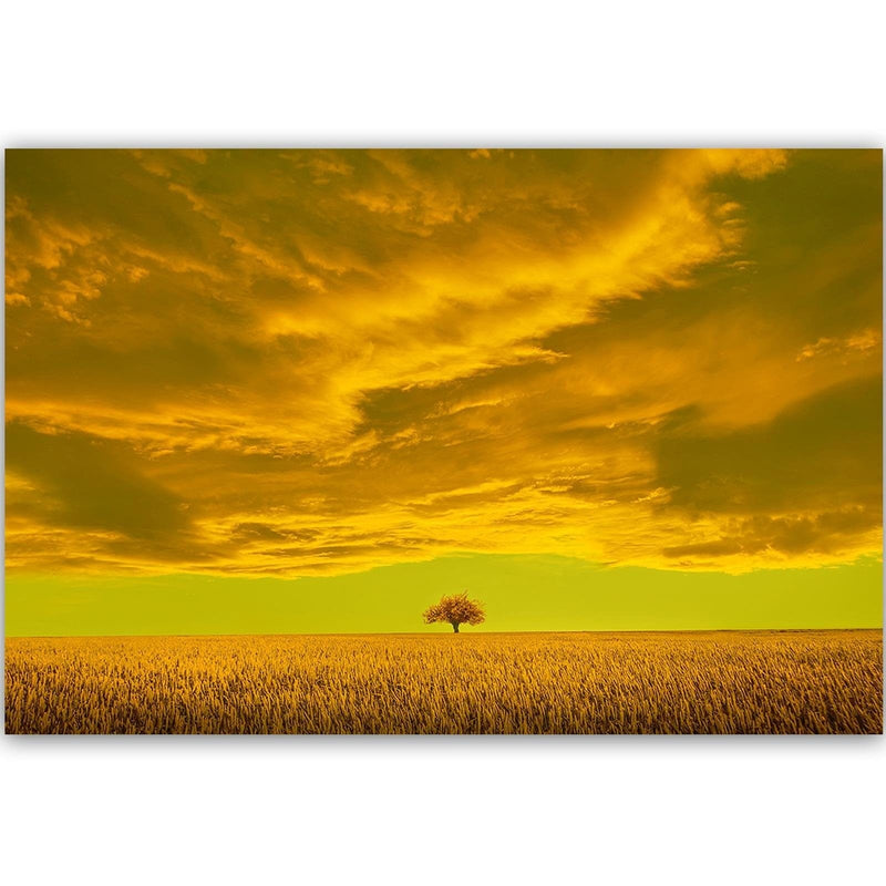 Dekoratīvais panelis - Lone Tree In Field  Home Trends Deco