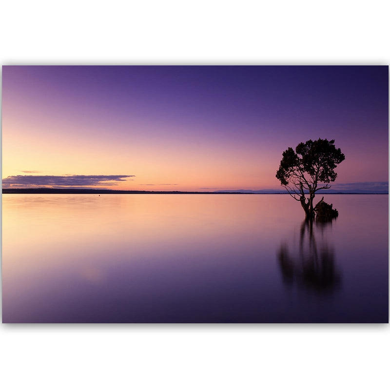 Dekoratīvais panelis - Lonely Tree On The Lake  Home Trends Deco