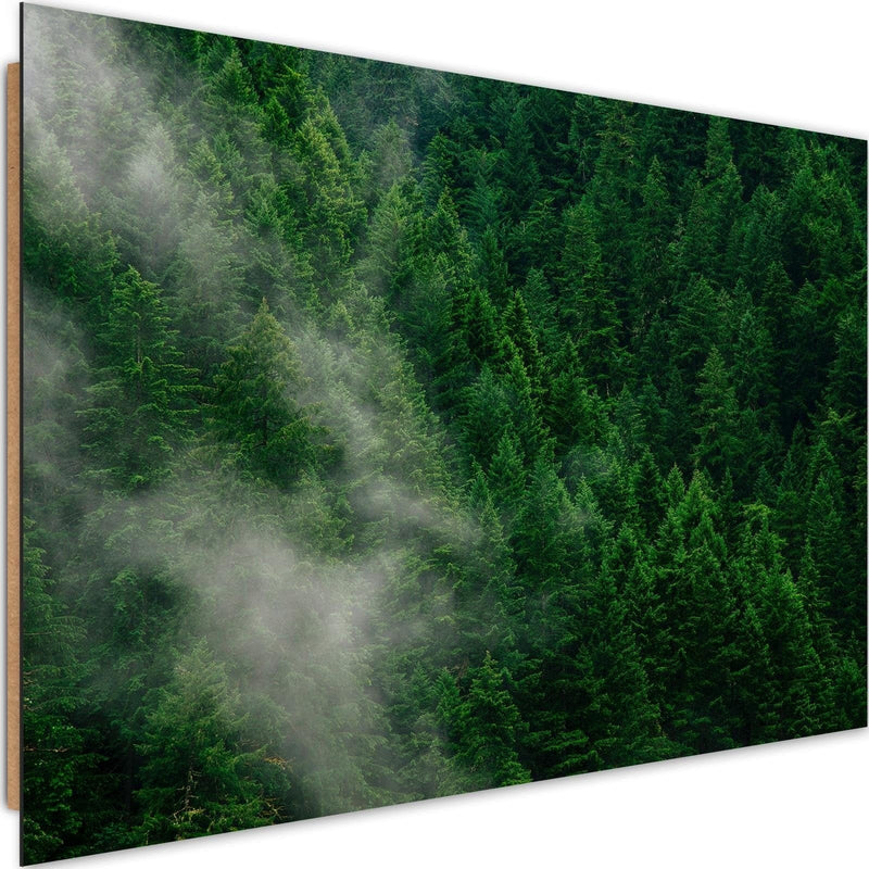 Dekoratīvais panelis - Mist Over The Forest  Home Trends Deco