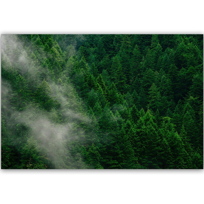 Dekoratīvais panelis - Mist Over The Forest  Home Trends Deco