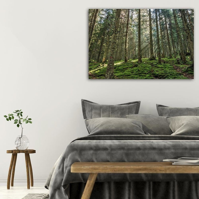 Dekoratīvais panelis - Moss In The Forest  Home Trends Deco