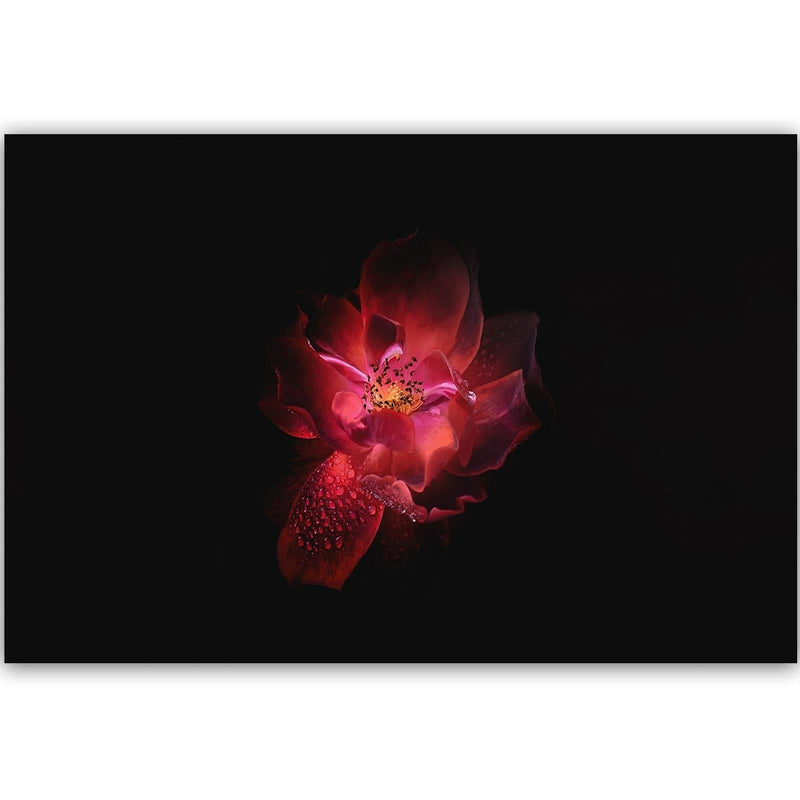 Dekoratīvais panelis - Night Flower  Home Trends Deco