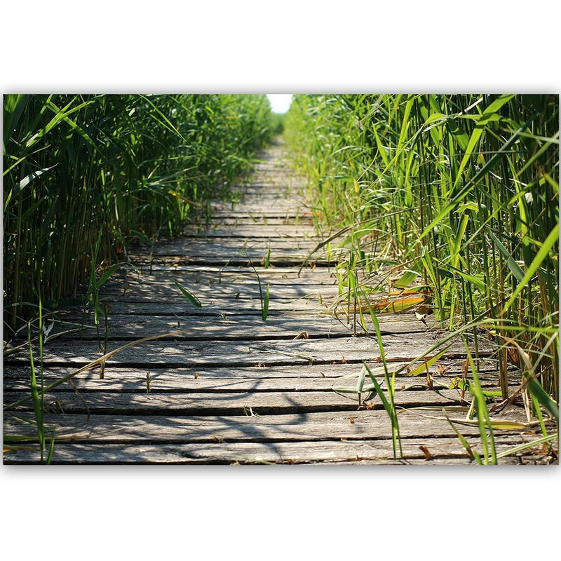 Dekoratīvais panelis - Old Bridge In The Reeds  Home Trends Deco