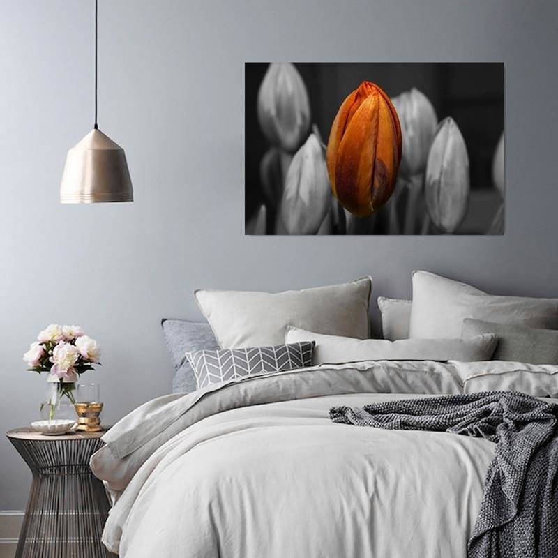 Dekoratīvais panelis - Orange Tulip  Home Trends Deco