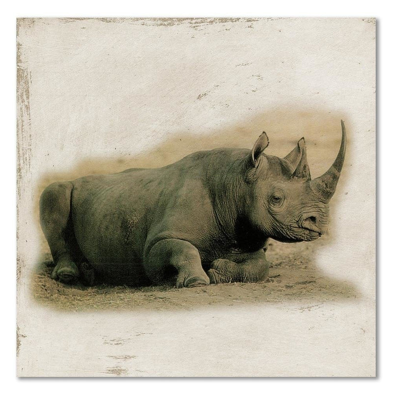 Dekoratīvais panelis - Painted rhinoceros  30x30 Home Trends Deco